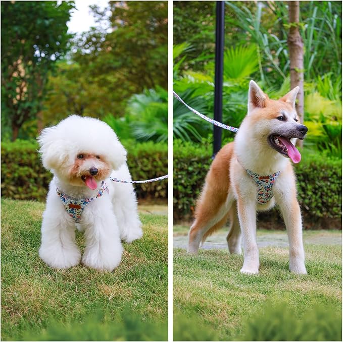 CHEDER No-Pull Floral Pattern Dog Harness - Lightweight & Soft, Adjustable for Small & Medium Dogs (XXS, Blue Rose) with Leash