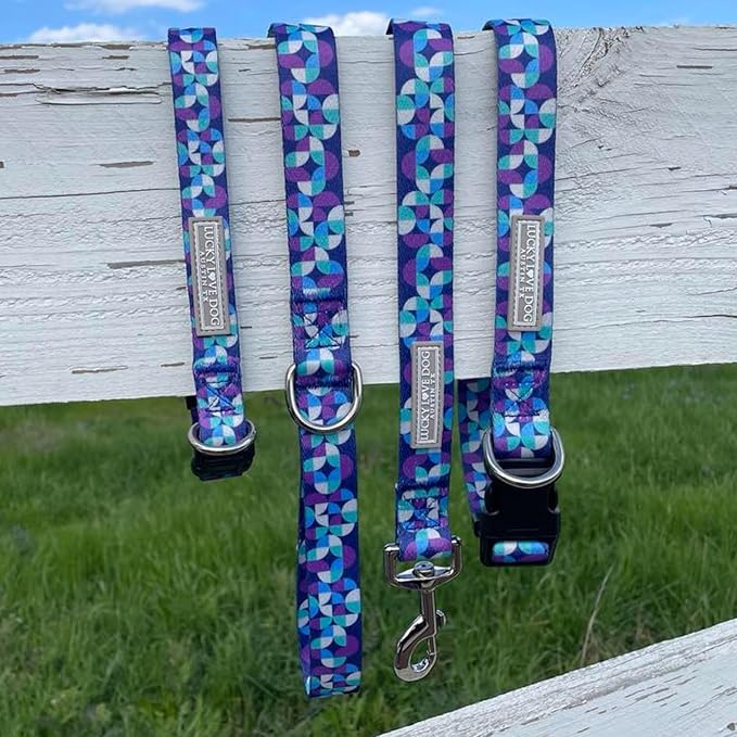 Lucky Love Dog - Adjustable Dog Collar and Leash Set with Easy Click Buckle for Small to Large Dogs, Durable, & Comfortable Collar for Male & Female Dogs, Puppies & Adult Ones - Jasper Combo, XL