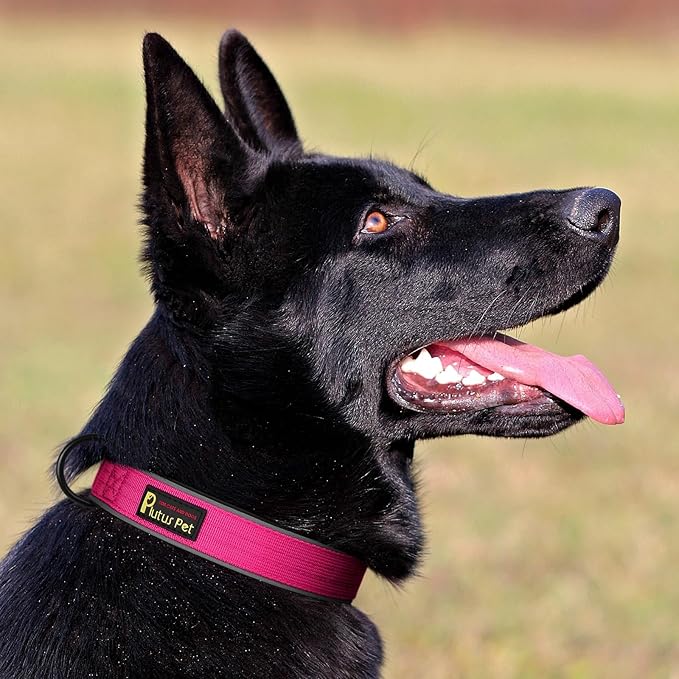 Plutus Pet Tactical Dog Collar, Reflective, Adjustable Heavy Duty Dog Collar, Soft Padded and Comfortable, for Small Medium and Large Dogs (Hot Pink, XS)