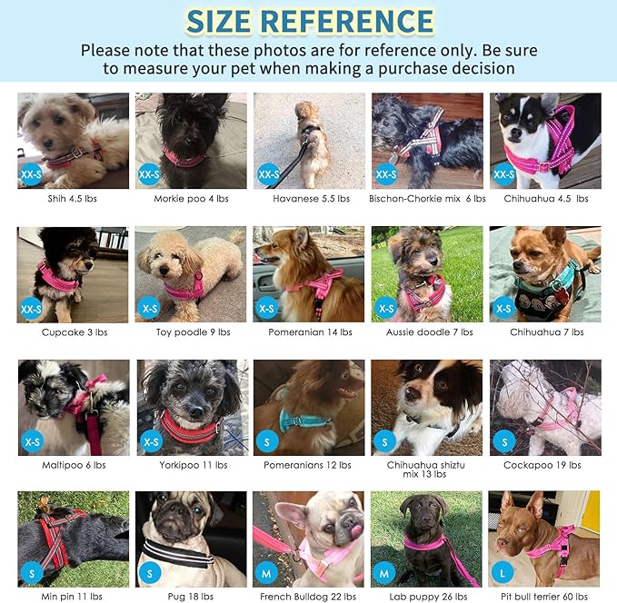SlowTon No Pull Small Dog Harness and Leash Set, Puppy Soft Vest Harness Neck & Chest Adjustable, Reflective Lightweight Harness & Anti-Twist Pet Lead Combo for Small Medium Dogs (DB-Front Clip, XXS)