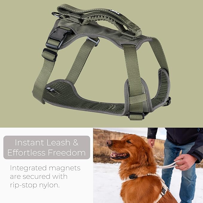 TUG Grab Dog Harness | Integrated Traffic Leash Magnetically Attached for Quick Control (Small/Green)