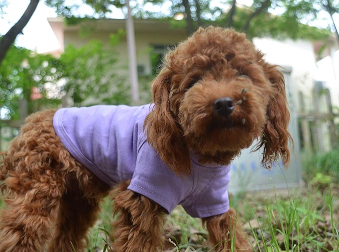 Lovelonglong 2019 Pet Clothing Dog Costumes Basic Blank T-Shirt Tee Shirts for Small Dogs Violet L