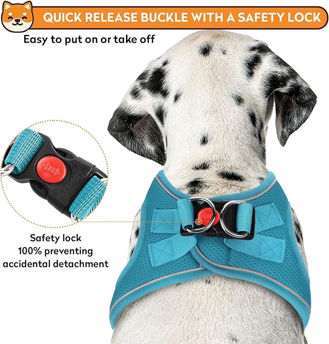 Dog Harness with Leash Set, No-Pull Step-in Reflective Pet Harness with 1 Leash Clips, Adjustable Soft Padded Easy Walk Dog Vest for Small Medium Large Dogs, Cats(Teal, XSmall)