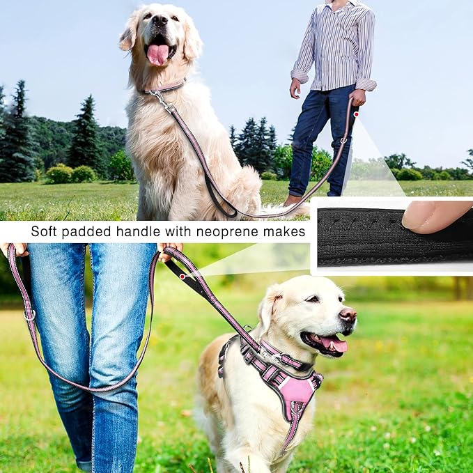 WINSEE Pet Harness Collar and Leash Set, All-in-one Reflective Dog Harness No Pull with Adjustable Buckles for Puppies, Small, Medium, Large, and Extra-Large Dogs (Medium, Pink)