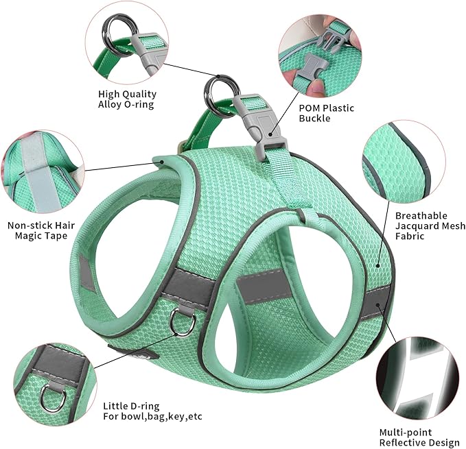 AIITLE No Pull Dog Harness and Leash Set, Step in Adjustable Dog Harness with Padded Vest for All Weather, Reflective Pet Harness, Easy to Put on Small Dogs Turquoise S