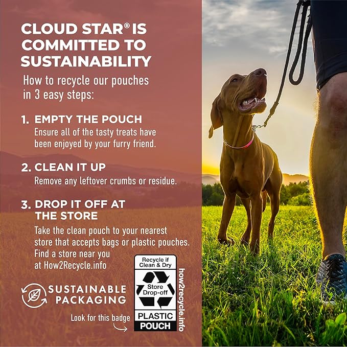 Cloud Star Dynamo Dog Tummy Treats – Soft & Chewy Probiotics Support for Dogs (14 oz. Pumpkin and Ginger) (20212)