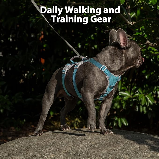 Escape Proof Dog Harness, Escape Artist Harness, Fully Reflective Harness with Padded Handle, Breathable, Durable, Adjustable Vest for Small Dogs Walking, Training, and Running Gear (Teal,S)