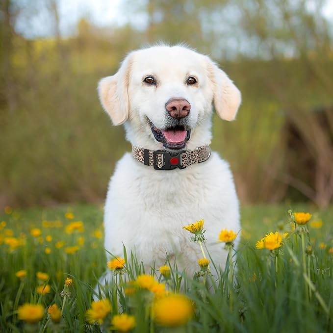 Cute Floral Dog Collar for Small Medium Large Dogs,Girl Female Dog Collars Soft Patterns Adjustable Pet Collar with Quick Release Safety Buckle for Puppy Breed Boy Dogs,Leopard,L