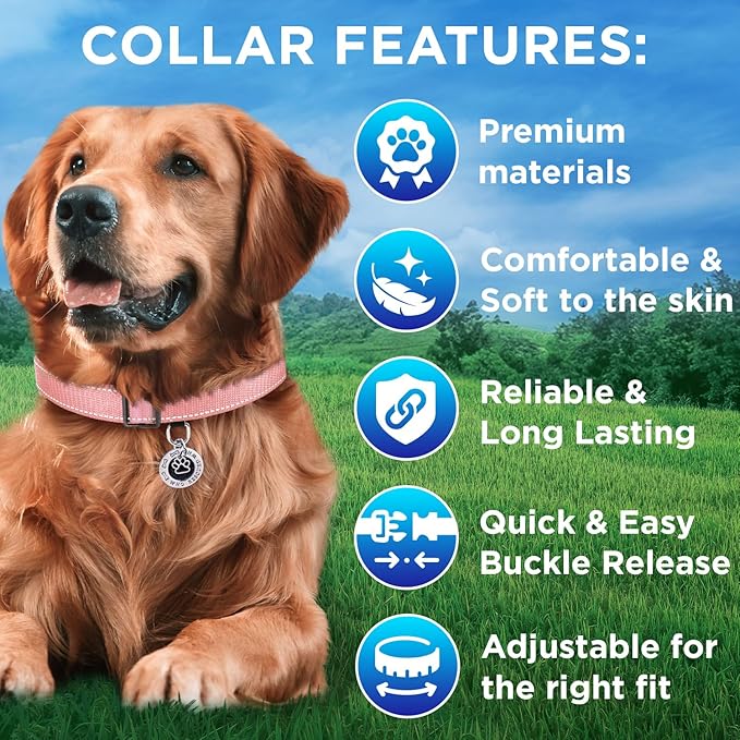 TECEUM Reflective Pet Collar – Pink – L – Extra Soft Padding – Basic Nylon Dog Collar – Quick Release Buckle – Fits Small, Medium and Large Dogs, Puppies, Cats – ESA & Service Dog Options
