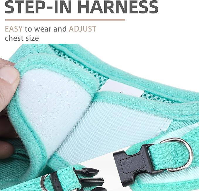 PUPTECK Dog Harness and Leash Set for Small Medium Dogs No Pull Step-in Soft Mesh Puppy Cat Vest Harnesses Reflective at Night, Denim Green S