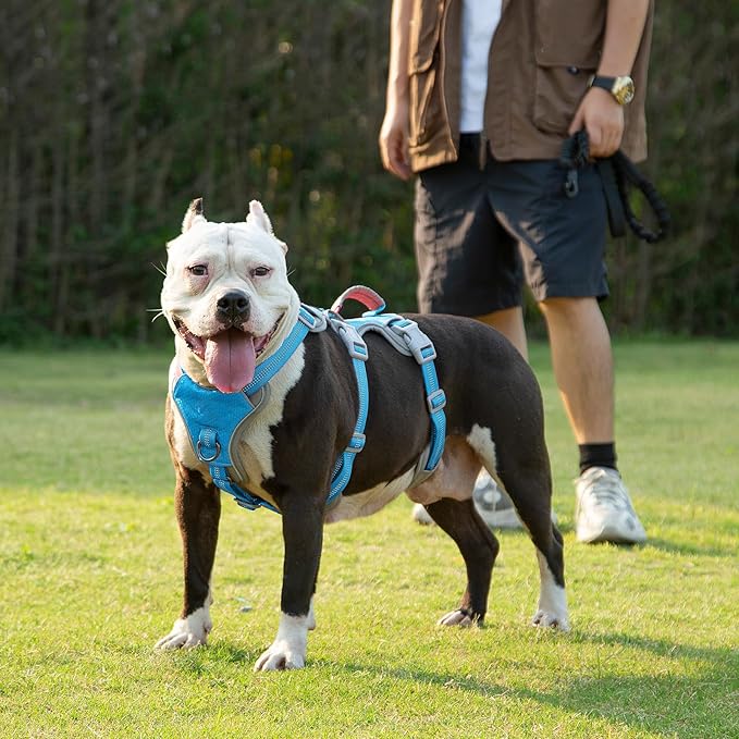 No Escape Dog Harness, Escape Proof Harness, Reflective Harness with Padded Handle, Breathable, Durable, Adjustable Vest for Small Dogs Walking, Training, and Running Gear (Blue, S)