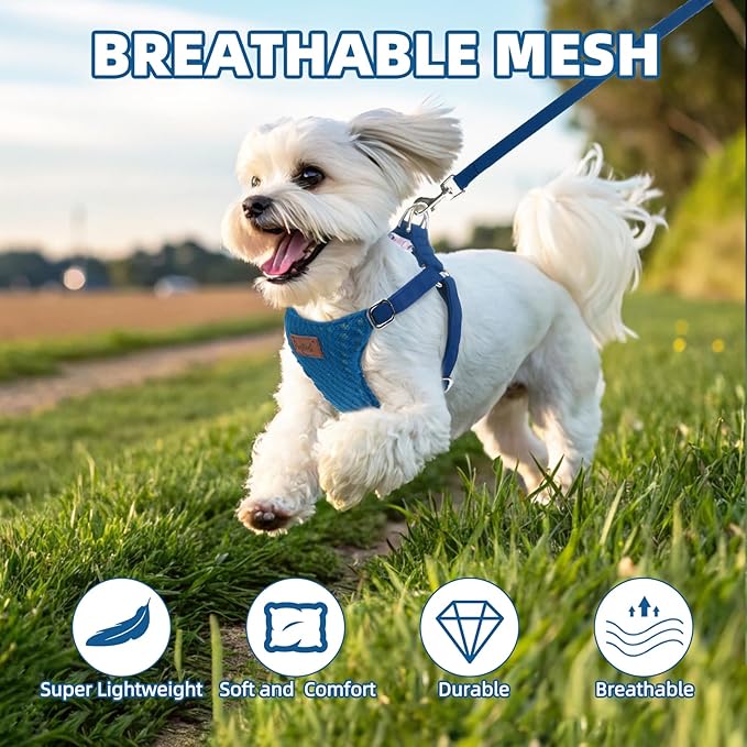 PUPTECK Dog Harness and Leash Set Small Sized, Step-in Cute Puppy Harness, Soft Lightweight Padded Vest, Escape Proof No Pull Pet Harnesses Easy for Walking, Blue, XXS