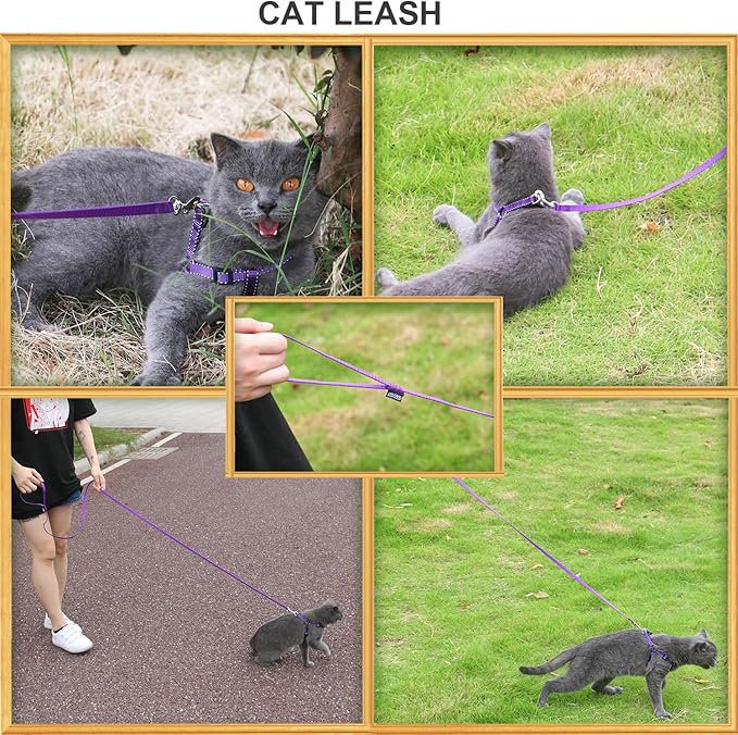 AMAGOOD 6 FT Cat Leash, Strong and Durable Traditional Style Leash with Easy to Use Collar Hook,Cat Lead Great for Cats (3/8 in x 6 ft,Black and Pruple(2-Pack))