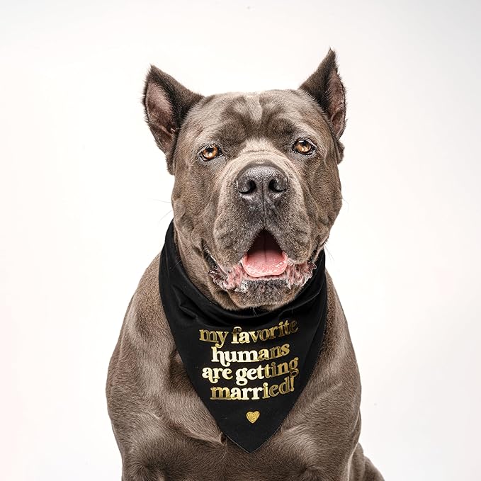 My Favorite Humans are Getting Married Metallic Printed Dog Bandana | 100% Cotton Adjustable Triangle | Wedding Photo Prop | Bridal Shower | Engagement Announcement |White, Rose Foil (1316)