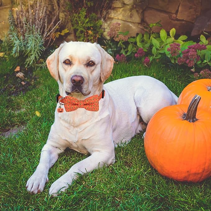 ADOGGYGO Halloween Dog Collar with Detachable Bow, Adjustable Orange Pumpkin Halloween Bowtie Collars for Small Medium Large Dogs (Large)