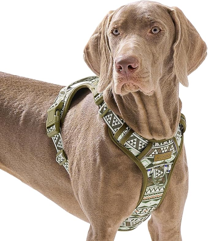 No Pull Dog Harness for Large Dogs with 2 Metal Clips, Easy On/Off with Neck Buckle, Heavy Duty Adjustable Puppy Vest, Breathable Pet Harness with Easy Control Handle, Green Ethnic L