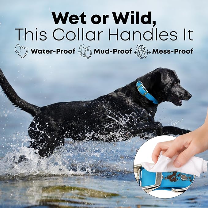 Regal Dog Products Small Light Blue Dog Collar with Heavy Duty Double Buckle & D Ring | Vinyl Coated, Custom Fit, Adjustable Biothane Dog Collar Chew Resistant Waterproof Collar for Dogs