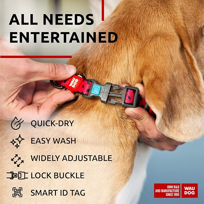 WAUDOG Nylon Dog Collar - Adjustable Dog Collar for Large Dogs, Small & Medium Dogs - Breakaway Puppy Collars for Large Breed Dogs - Boy & Girl Dog Collars with Durable Plastic Buckle and QR Dog Tag