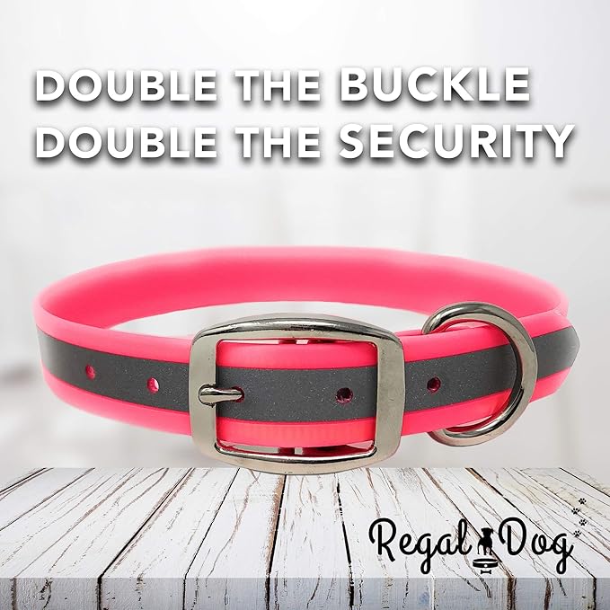 Regal Dog Products Medium Pink Reflective Dog Collar and Leash Set - Waterproof Biothane Dog Collar with Heavy Duty Double Buckle, D Ring & 5ft Leash - Other Size for Medium & Large Dogs