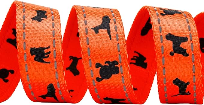 EcoBark Dog Leash - Soft & Reflective Comfort Training Leashes with Padded Handle - Strong Durable Heavy Duty - Training and Pulling for Small, Medium or Large Dogs (Orange)