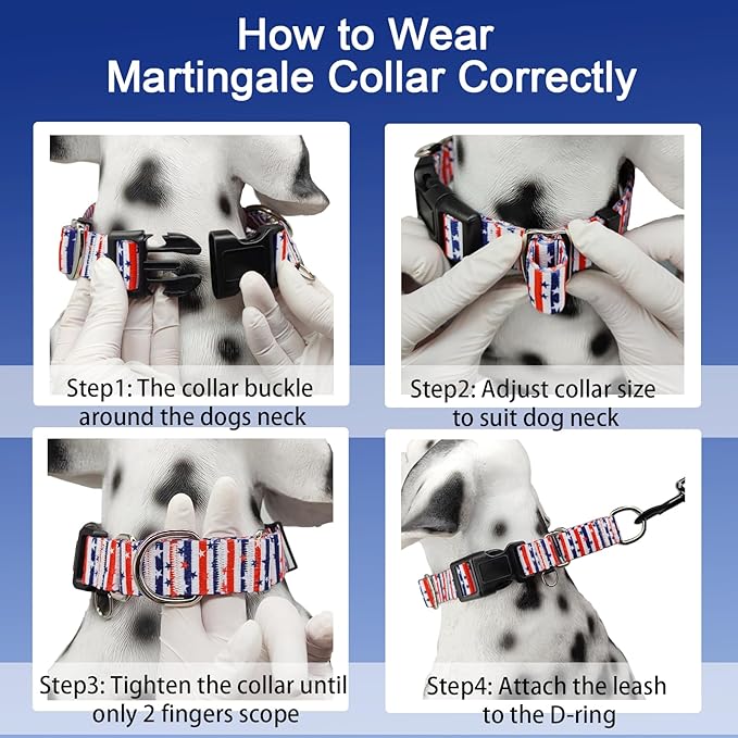American Flag Martingale Collar 4th of July Star Holiday Dog Collar with Buckle Adjustable Pet Collars (Red Blue Patriotic Stripes, Small)