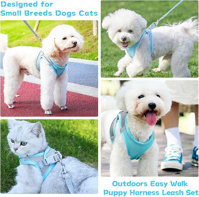 Soft Small Dog Harness and Leash Set Mesh Puppy Harnesses Leash Easy Walk Dog Harness Vest Adjustable Reflective No Pull Dog Harnesses for Small Dogs Cats (Blue Grey,M)