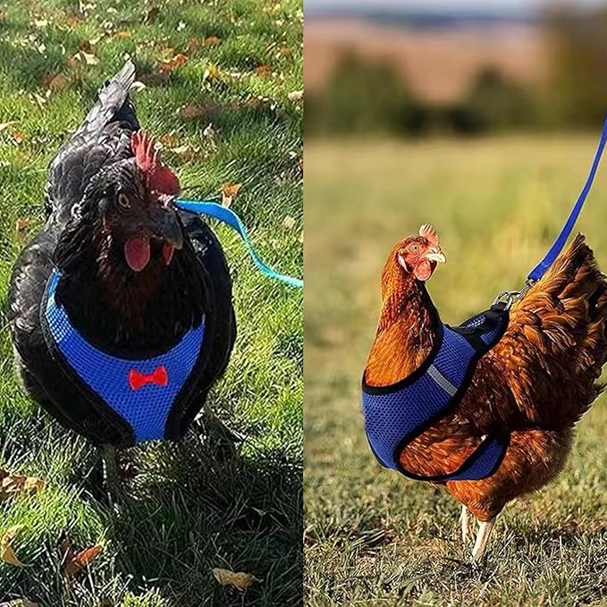 4 Pcs Funny Chicken Accessories - Comfortable Harness and Leash for Hens, Breathable Mesh