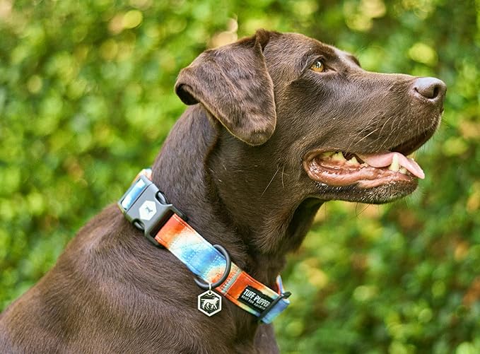 Tuff Pupper Premium Adjustable Dog Collar for Large Girl Dogs, Stylish Pattern Collars Designed in USA, Quick Release Buckle, RadiantSkies Print for Female Dogs, Large (1 Inch Wide x 18-26 Inch Neck)