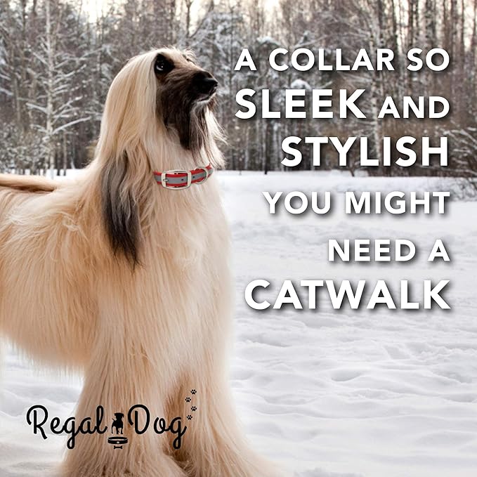 Regal Dog Products Large Yellow Heavy Duty Reflective Dog Collar with Durable Metal Buckle and D Ring Adjustable, Chew Proof & Waterproof Strong Small Dog Collar Other Sizes for Medium & Large Dogs