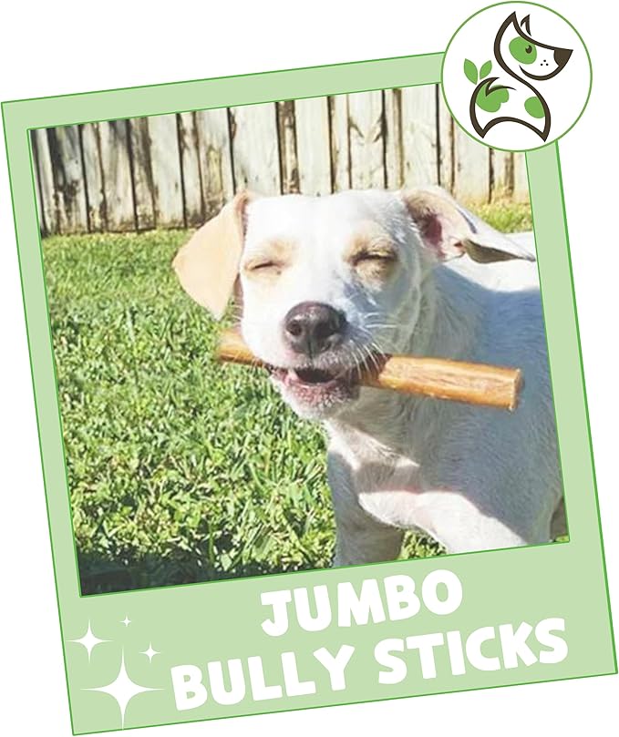 Nature Gnaws Extra Large Bully Sticks for Dogs 5-6" (3 Count) - Thick Long Lasting for Aggressive Chewers and Heavy Chewers - Natural Beef Dog Chew Bones