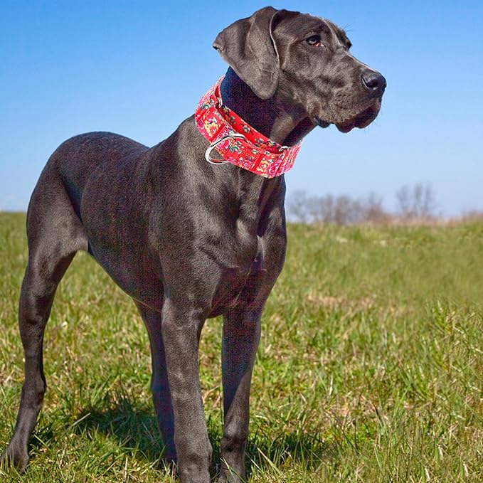 Martingale Dog Collar 1.5” Width – Heavy Duty Adjustable Training Collar with Stylish Red Floral Design – Secure Fit for Large Dogs – Perfect for Walking, Hunting & Outdoor Adventures XL