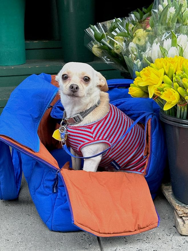 Little Beast Dog Clothes, Pet Clothes for Large, Medium, and Small Dogs (Dog Shirts Come in Multiple Colors and Styles) - Size: XX-Small Dogs, Red/Blue