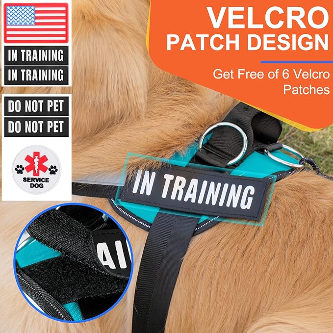 Essential Dog Harness, No Pull Pet Harness with 3 Side Rings for Leash Placement, No Choke, Reflective, Adjustable Pet Vest, Easy On-Off & Improved Control Handle, Training, Walking, Running