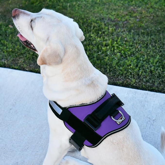 Dogline Dog Harness, Reflective No-Pull Adjustable Vest with Handle, Breathable No-Choke Harness for Small, Medium or Large Dogs Room for Patches Girth 18 to 24 in Purple