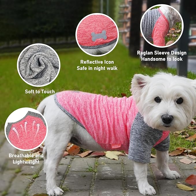 KYEESE 2 Pack Dog Shirts Raglan Sleeve Quick Dry Soft Stretchy Small Dog T-Shirts with Reflective Label Lightweight Pet Clothes Sun Protection, Coral Red+Grey, XL