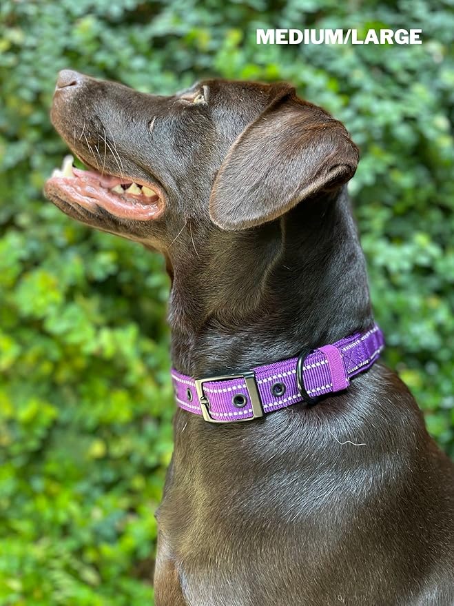 Heavy Duty Dog Collar with Handle | Ballistic Nylon Heavy Duty Collar | Padded Reflective Dog Collar with Adjustable Stainless Steel Hardware | Convenient Sizing for All Breeds
