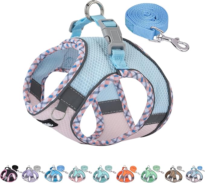 AIITLE XXS Dog Harness & Leash Set - Breathable Reflective No-Choke Small Dog Harness for Teacup Puppies, Indoor/Outdoor Use - Boston Terrier, Maltese, Chihuahua (Blue-Pink, XXS)