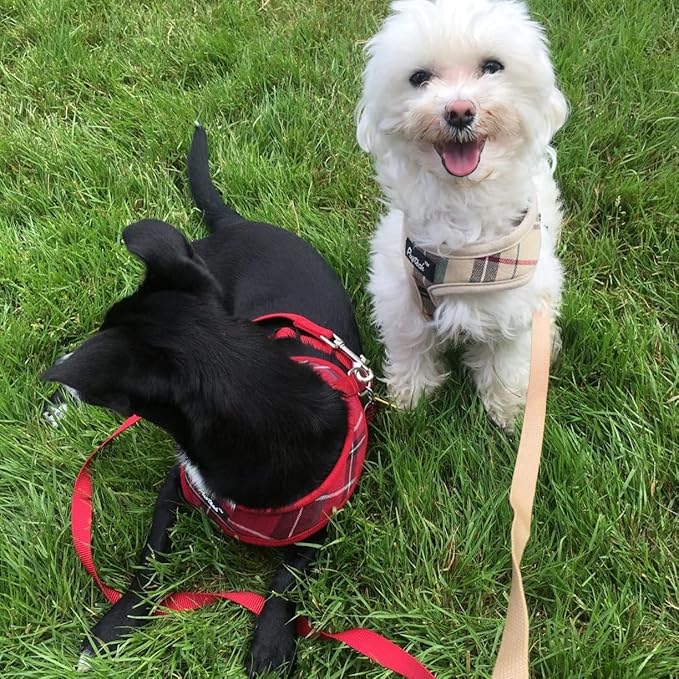 PUPTECK Soft Mesh Dog Harness and Leash Set Pet Puppy Cat Comfort Padded Vest No Pull Harnesses, Red, L