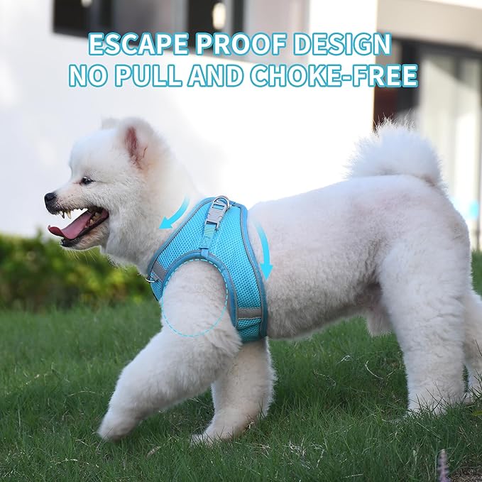 AIITLE No Pull Dog Harness and Leash Set, Step in Adjustable Dog Harness with Padded Vest for All Weather, Reflective Pet Harness, Easy to Put on Small Dogs Blue S