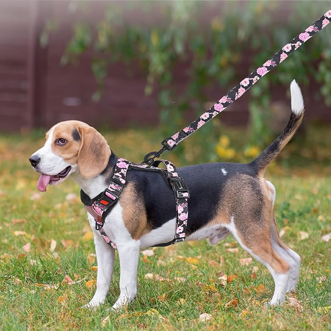 Petmolico No Pull Dog Harness Leash Set, Front and Back Metal Clips Easy Walk Dog Harness with Handle for Training Outdoor Adventures, Peony Small