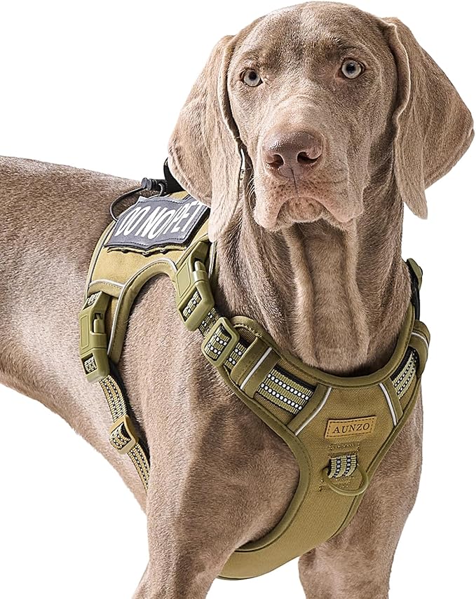 Adjustable No-Pull Tactical Dog Vest Harness for Big Dog Breeds, Siberian Husky Labrador Golden Retriever, Reflective Breathable Oxford Material, Front Leash Clip Control, Army Green, L