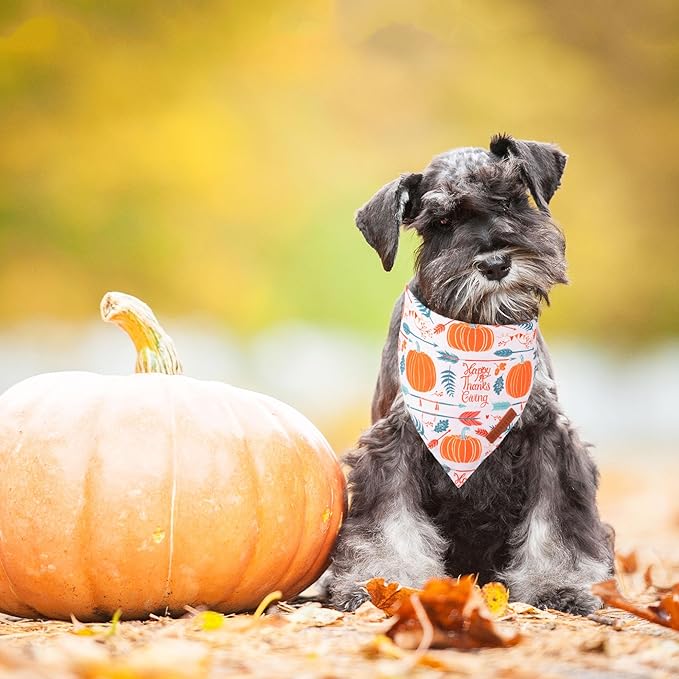 ADOGGYGO Thanksgiving Dog Bandana, Fall Leaves Pumpkin Pet Scarf, Premium Durable Fabric, Adjustable Fit Puppy Thanksgiving Bandanas for Small Dogs Pets (Small)