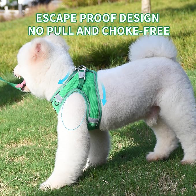 AIITLE Puppy Harness and Leash Set for Walking, Step in Dog Harness, Soft Breathable Pet Supplies, Reflective Bands, for Extra Small Dogs and House Cats Green XXXS