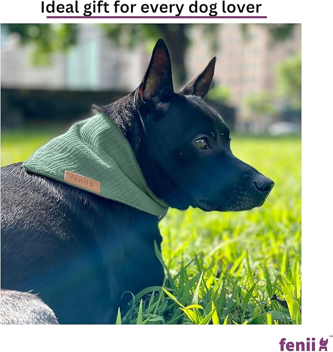 Premium Cotton Dog Bandanas - 2 Pack - Adjustable Fit - Washable - for Small, Medium & Large Breeds - Girl & Boy Dog Accessories - Multiple Sizes (Forest Green & Seafoam Green, Small)