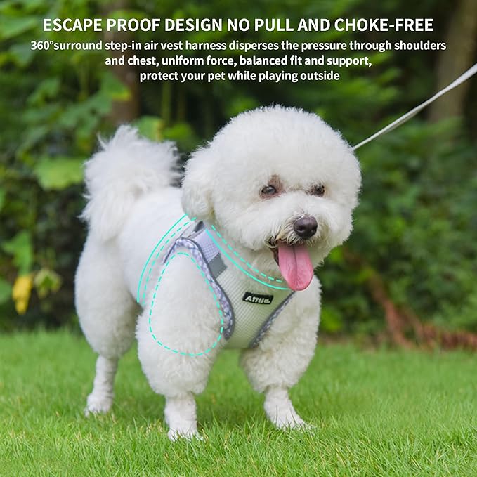 AIITLE XXS Dog Harness & Leash Set - Breathable Reflective No-Choke Small Dog Harness for Teacup Puppies, Indoor/Outdoor Use - Boston Terrier, Maltese, Chihuahua (Purple-White, XXS)