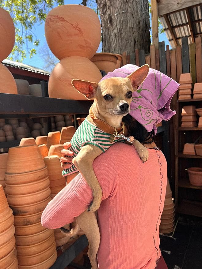 Little Beast Dog Clothes - Pet Clothes for Large, Medium, and Small Dogs (Dog Shirts Come in Multiple Colors and Styles) - Size: XX-Large Dogs, Multicolor