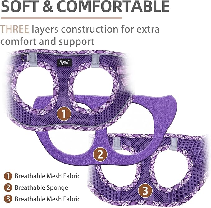 PUPTECK Dog Harness and Leash Set for Small Medium Dogs No Pull Step-in Soft Mesh Puppy Cat Vest Harnesses Reflective at Night, Upgraded New Purple M