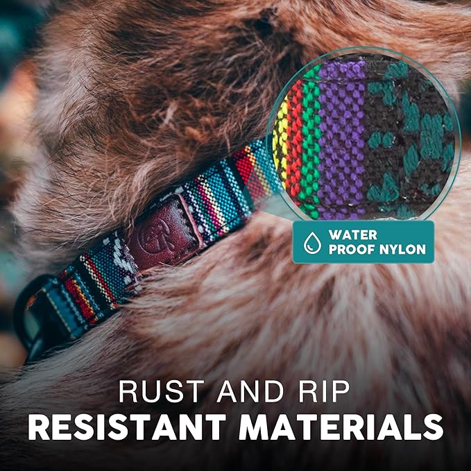 Embark Urban Dog Collar – Stylish & Durable Nylon Collar for Medium Dogs, Comfortable & Adjustable Pet Collar for Medium Sized Dog with Strong Buckles