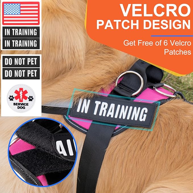 Essential Dog Harness, No Pull Pet Harness with 3 Side Rings for Leash Placement, No Choke, Reflective, Adjustable Pet Vest, Easy On-Off & Improved Control Handle, Training, Walking, Running