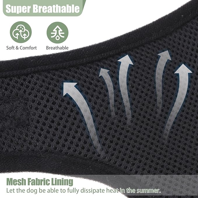 PUPTECK Dog Harness and Leash Collar Set for Small Medium Dogs Puppy and Cats Walking No Pull Adjustable Reflective Soft Mesh Padded Plaid Harnesses Pet Accessories, Green, L